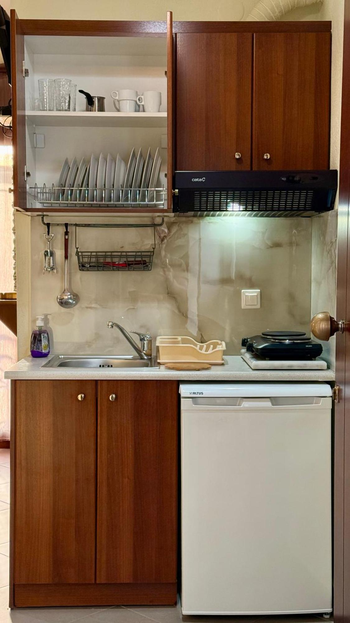 Villa Emmanouela Studios - Family Accommodation Nea Vrasna Luaran gambar