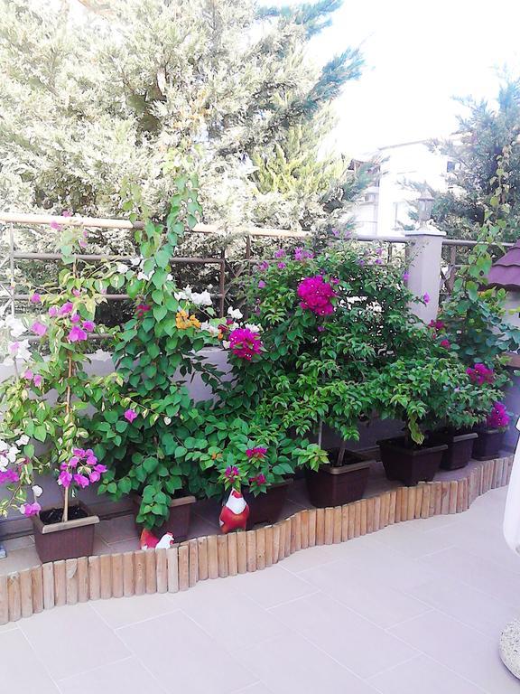 Villa Emmanouela Studios - Family Accommodation Nea Vrasna Luaran gambar